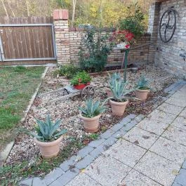 PajtaPub Szigetújfalu - Külső kép