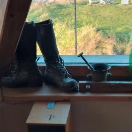 PajtaPub Szigetújfalu - Belső