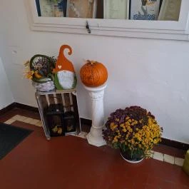 Paksi Halászcsárda, Paks - Egyéb