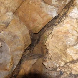 Pál-völgyi barlang Budapest - Belső