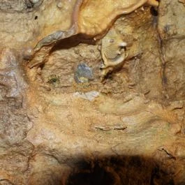 Pál-völgyi barlang Budapest - Belső