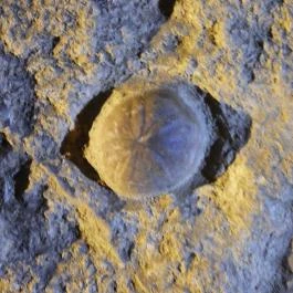 Pál-völgyi barlang Budapest - Egyéb