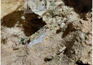 Pál-völgyi barlang Budapest