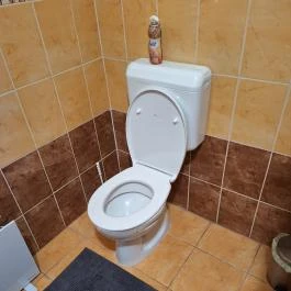 Palacka Vendégház Mikóháza - Fürdőszoba