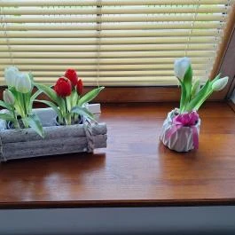 Palacka Vendégház Mikóháza - Egyéb