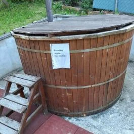 Palacka Vendégház Mikóháza - Medence/kert