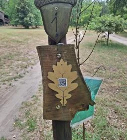  Pálfája tanösvény