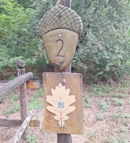  Pálfája tanösvény