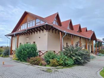 Pálinka Tanya Tuzsér