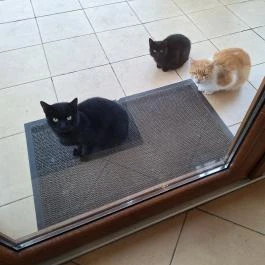 Pálinka Tanya Tuzsér - Egyéb