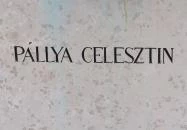 Pállya Celesztin Nagymaros