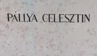 Pállya Celesztin Nagymaros - Egyéb