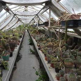 Pálmaház és madárpark Keszthely - Belső