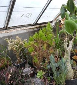 Pálmaház és madárpark