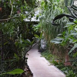 Pálmaház és madárpark Keszthely - Egyéb