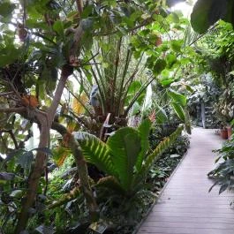 Pálmaház és madárpark Keszthely - Egyéb