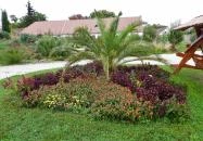 Pálmaház és madárpark Keszthely