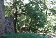 Pálos Kolostorrom Salföld