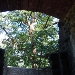 Pálos Kolostorrom, Salföld - 