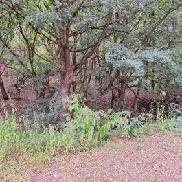 Pálos tanösvény, Pálosvörösmart - Külső kép