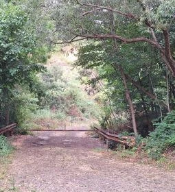 441. legjobb látnivaló: Pálos tanösvény