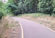 Pálos tanösvény Pálosvörösmart