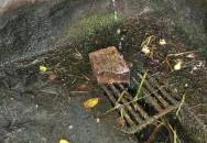 Palotási forrás Palotás