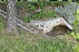 Palotási forrás Palotás