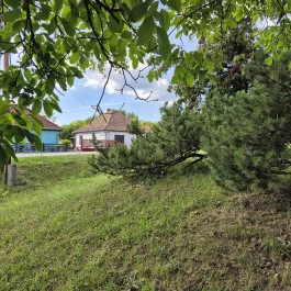 Palotási forrás Palotás - Külső kép