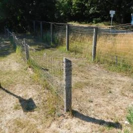 Páneurópai Piknik Emlékhely Fertőrákos - Egyéb