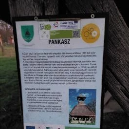 Pankaszi harangláb Pankasz - Egyéb