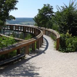 Pannonhalmi Lombkorona Tanösvény Pannonhalma - Egyéb