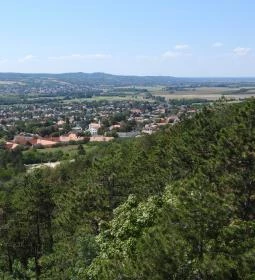 Pannonhalmi Lombkorona Tanösvény