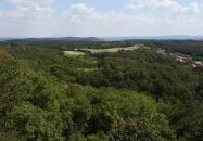 Pannonhalmi Lombkorona Tanösvény Pannonhalma