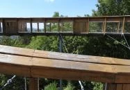 Pannonhalmi Lombkorona Tanösvény Pannonhalma