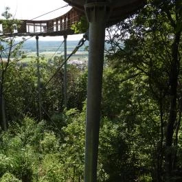 Pannonhalmi Lombkorona Tanösvény Pannonhalma - Külső kép