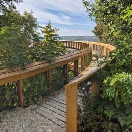 Pannonhalmi Lombkorona Tanösvény Pannonhalma - Külső kép