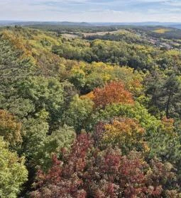 Pannonhalmi Lombkorona Tanösvény