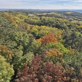 Pannonhalmi Lombkorona Tanösvény Pannonhalma - Külső kép