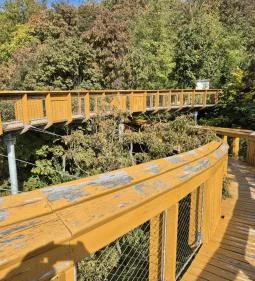 Pannonhalmi Lombkorona Tanösvény