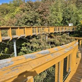 Pannonhalmi Lombkorona Tanösvény Pannonhalma - Egyéb