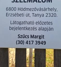 Papi-féle szélmalom