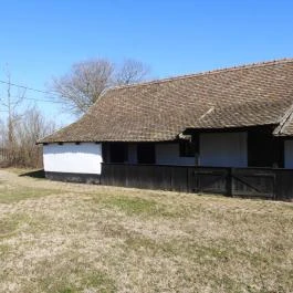 Papi-féle szélmalom Hódmezővásárhely - Külső kép