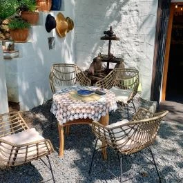 Papillon Gyulakeszi - Külső kép