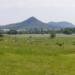 Papillon Gyulakeszi - Külső kép