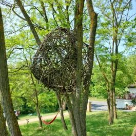 Papillon Gyulakeszi - Egyéb