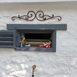 Papillon Gyulakeszi - Egyéb