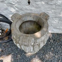 Papillon Gyulakeszi - Egyéb