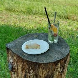 Papillon Gyulakeszi - Egyéb