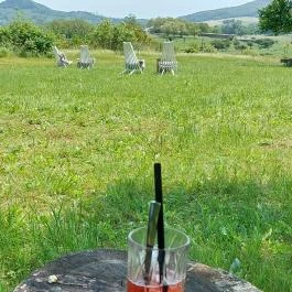 Papillon Gyulakeszi - Egyéb